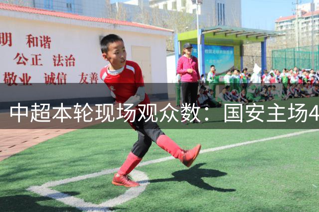 中超本轮现场观众数：国安主场4.6万人创新高